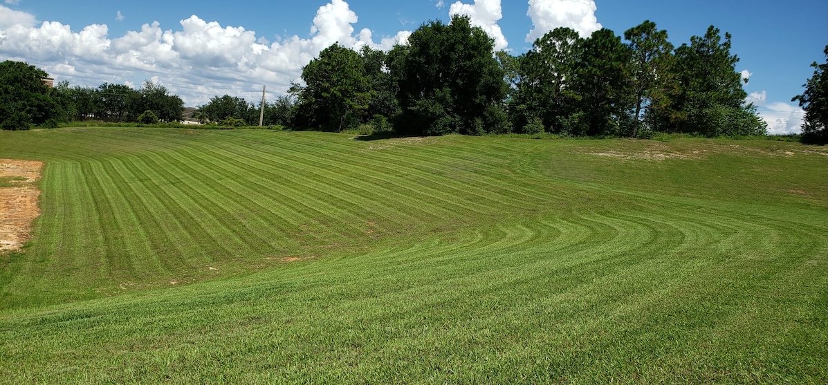 Commercial landscaping Orlando